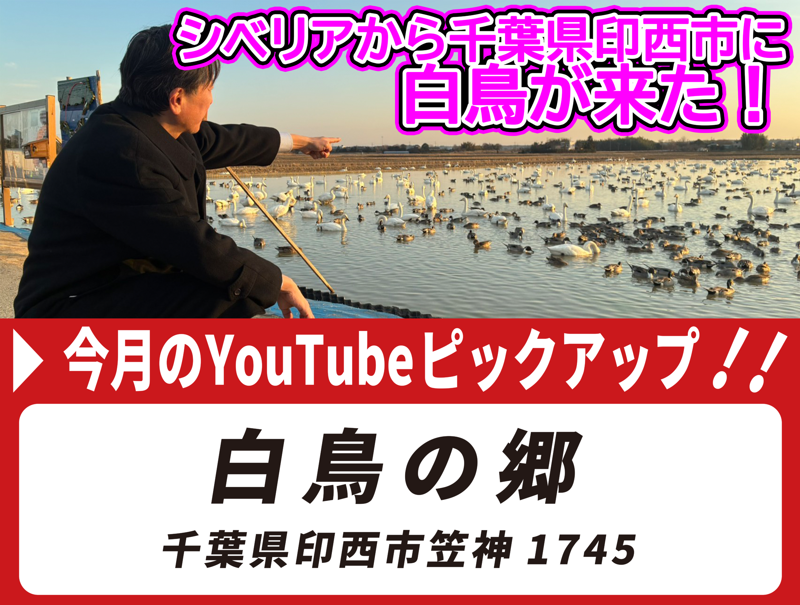今月の公式YouTubeピックアップ！